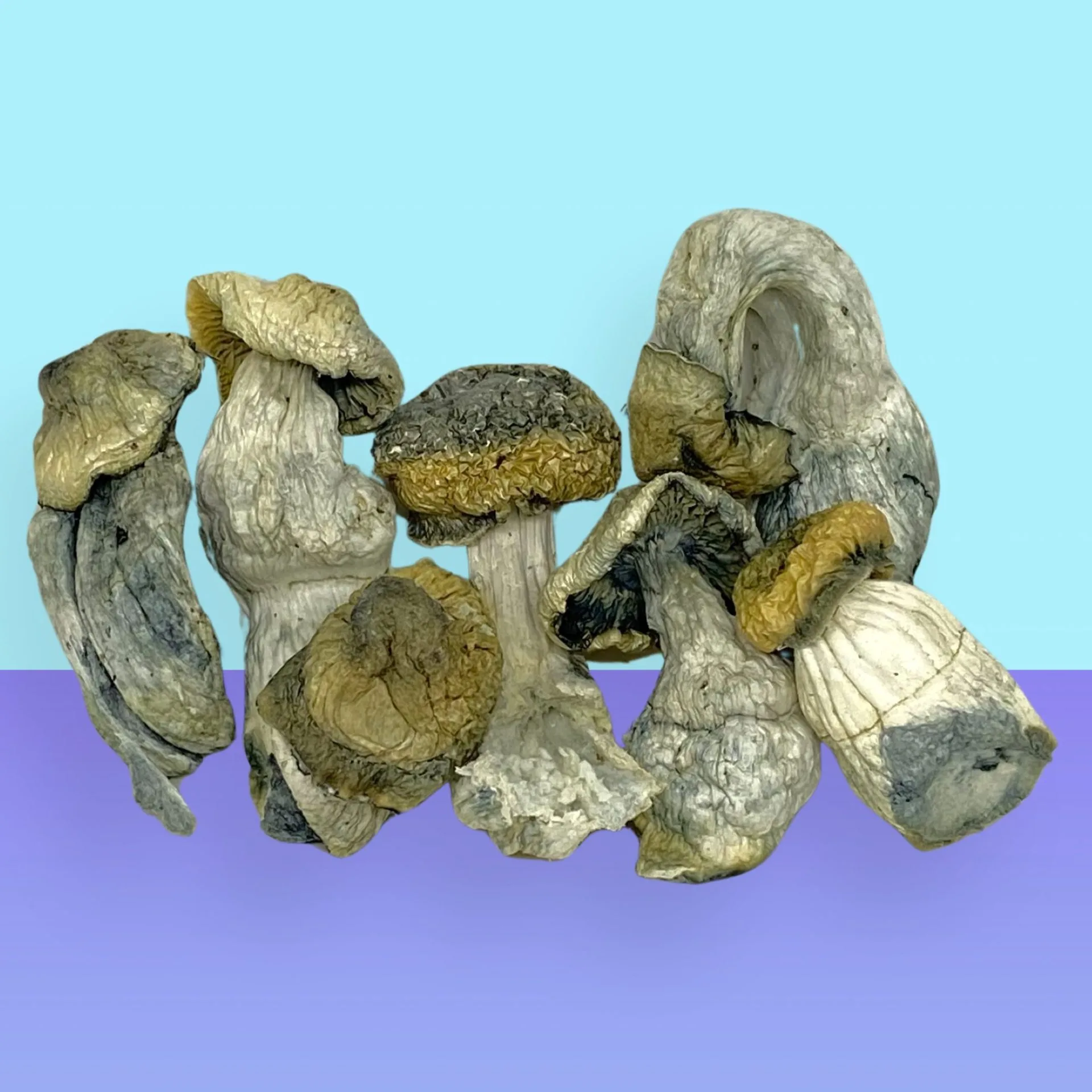 BAPE psilocybin mushrooms with thick stems and light caps, known for clean energy, vivid visuals, and deep introspective effects