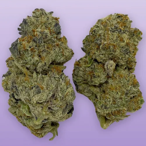 Double Stuffed cannabis strain buds, dense and frosty, known for creamy vanilla flavor and relaxing effects