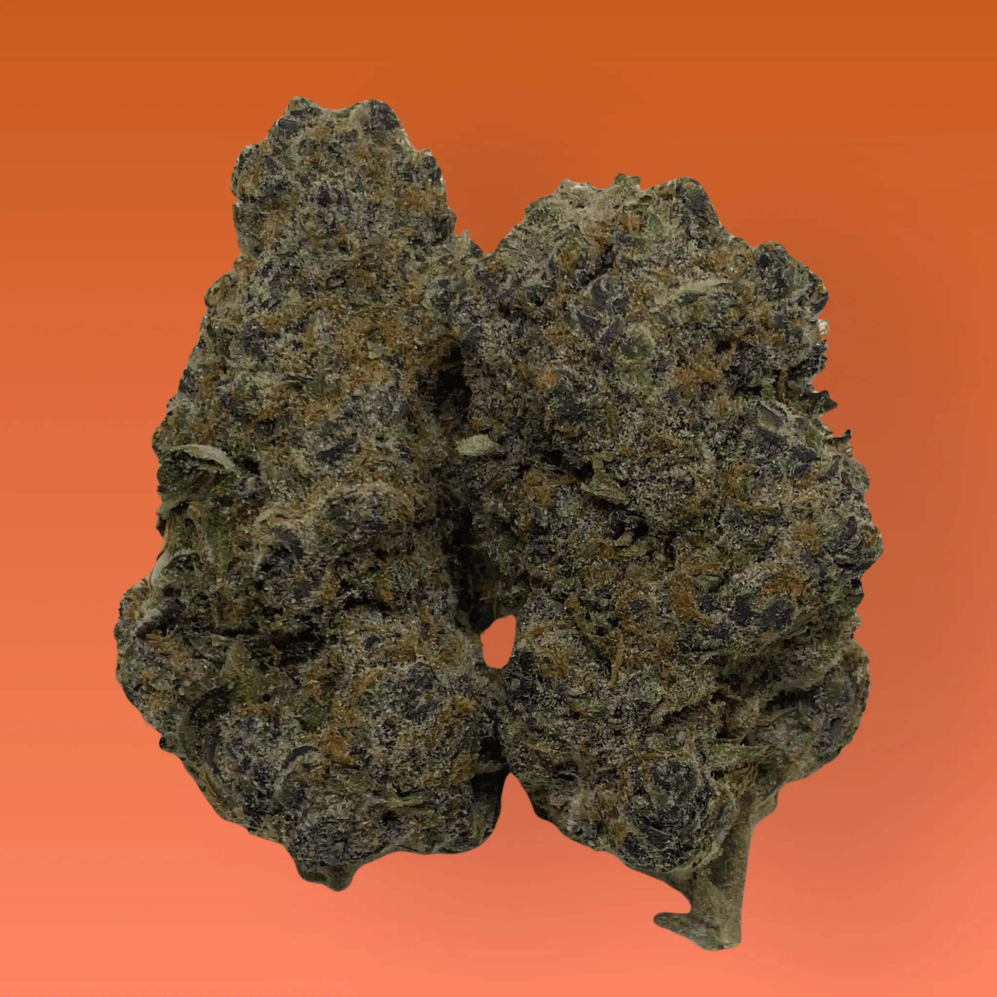 Blockberry cannabis strain, expertly cultivated by Baked In Bushwick
