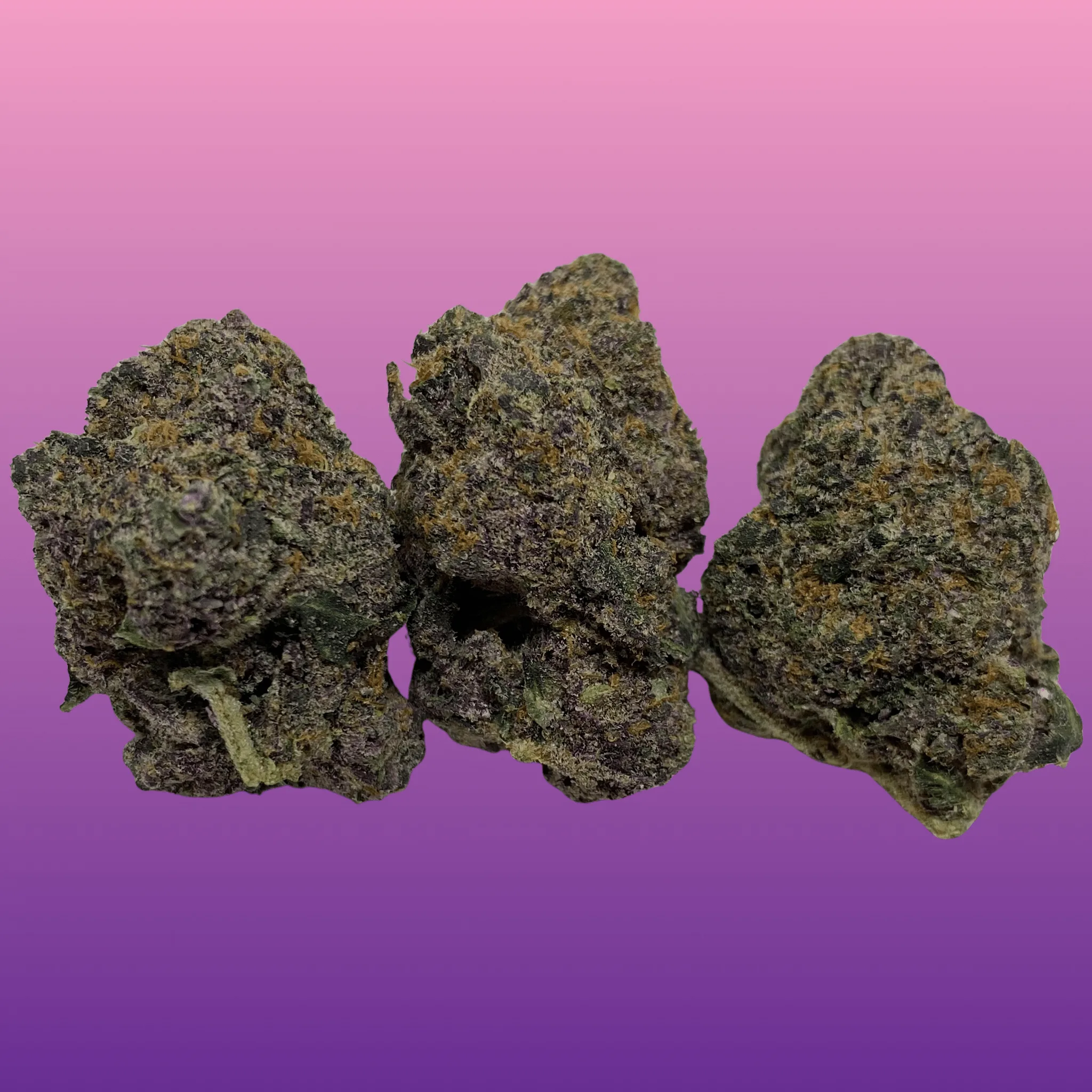 Halle Berry cannabis flower – vibrant, frosty buds with fruity aroma and purple-orange hues, available from Baked In Bushwick.