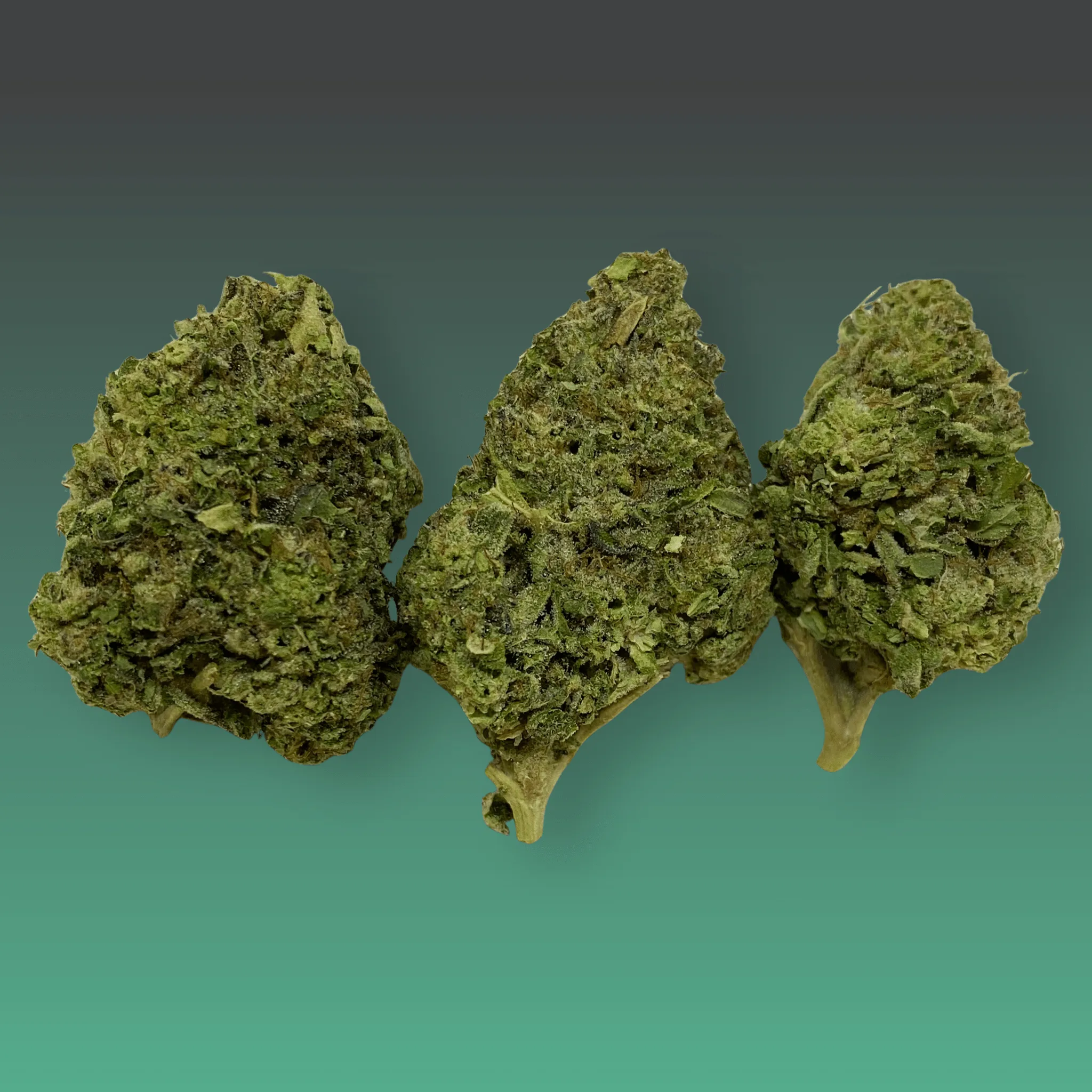 Gorilla Cake cannabis flower – dense, frosty buds with earthy tones and pungent aroma, available from Baked In Bushwick.