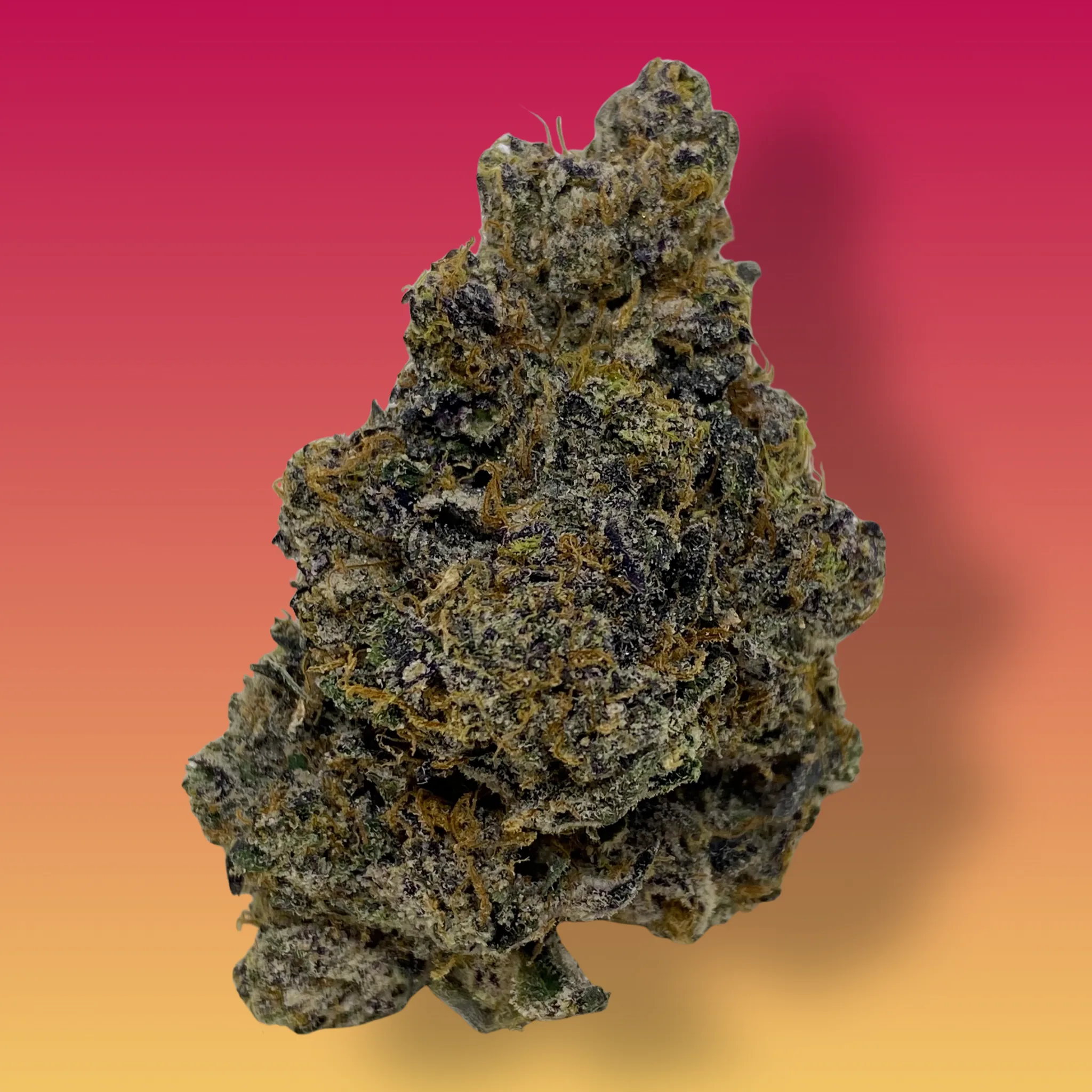 Pop Tart cannabis flower – frosty, dense buds with purple hues and fruity aroma, available for delivery from Baked In Bushwick.