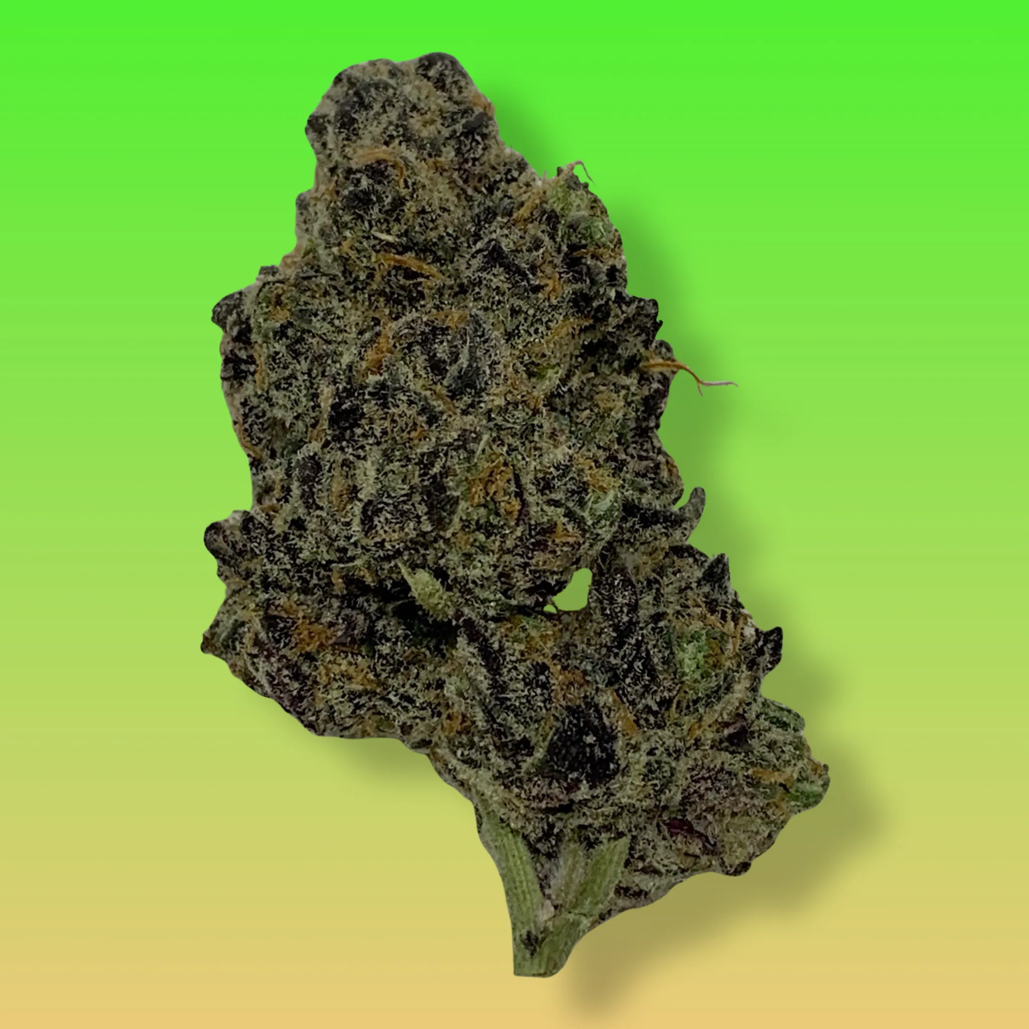 Baked In Bushwick - Jelly Breath Indica Hybrid Cannabis Flower - Bushwick NYC Weed Delivery