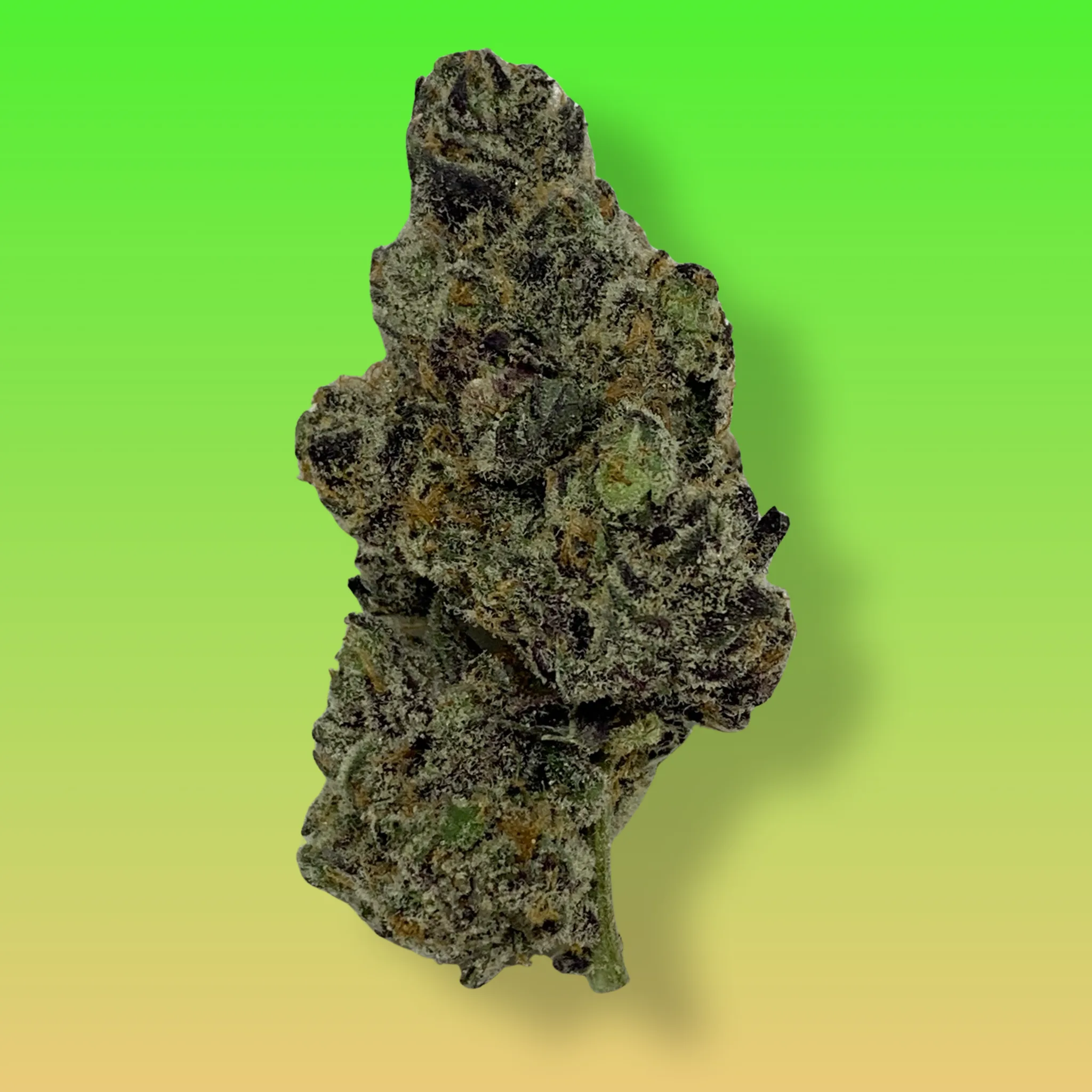 Baked In Bushwick - Jelly Breath Indica Hybrid Cannabis Flower - Bushwick NYC Weed Delivery