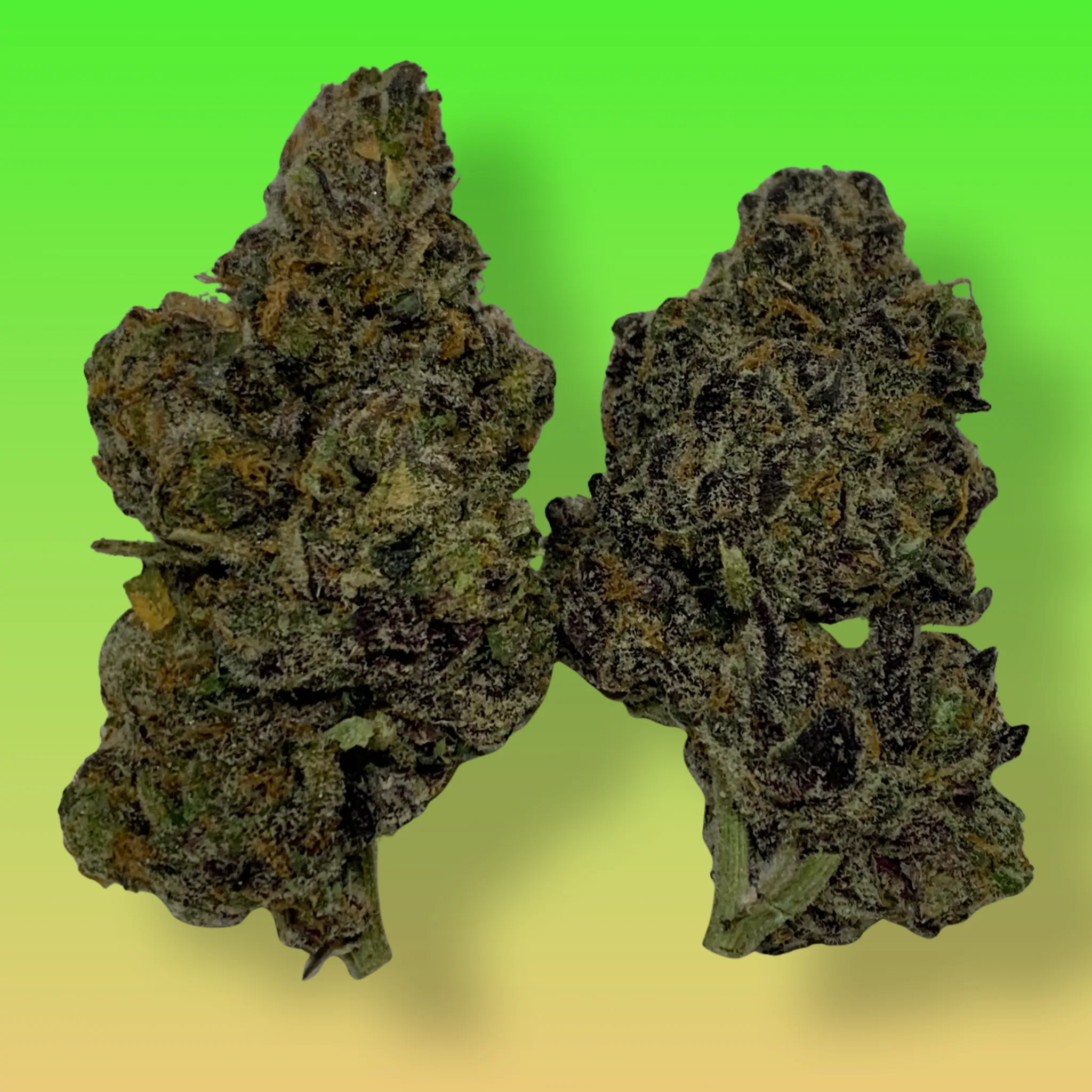 Baked In Bushwick - Jelly Breath Indica Hybrid Cannabis Flower - Bushwick NYC Weed Delivery