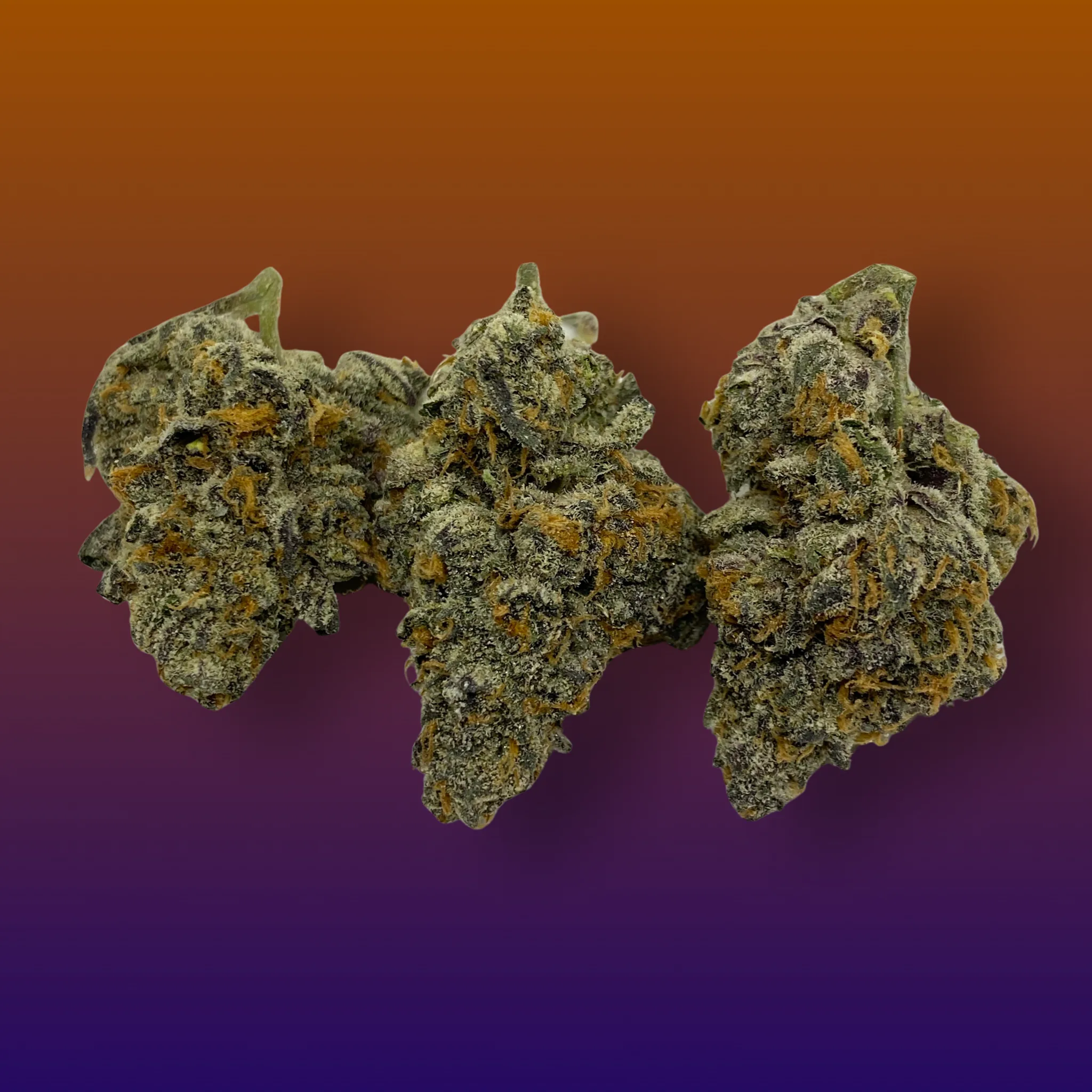 Baked In Bushwick - Biscotti Pancake Indica Hybrid Cannabis Flower - Bushwick NYC Weed Delivery