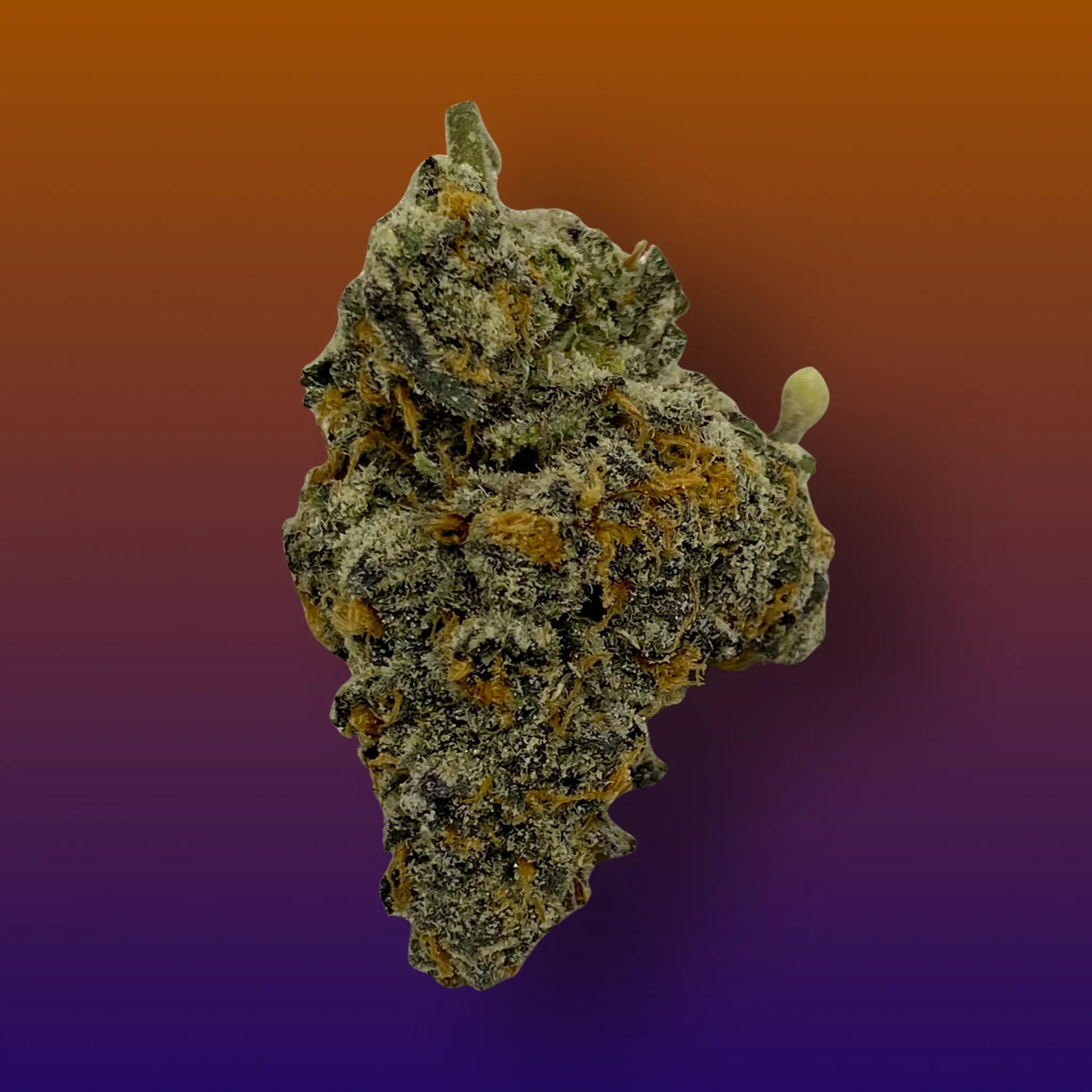 Baked In Bushwick - Biscotti Pancake Indica Hybrid Cannabis Flower - Bushwick NYC Weed Delivery