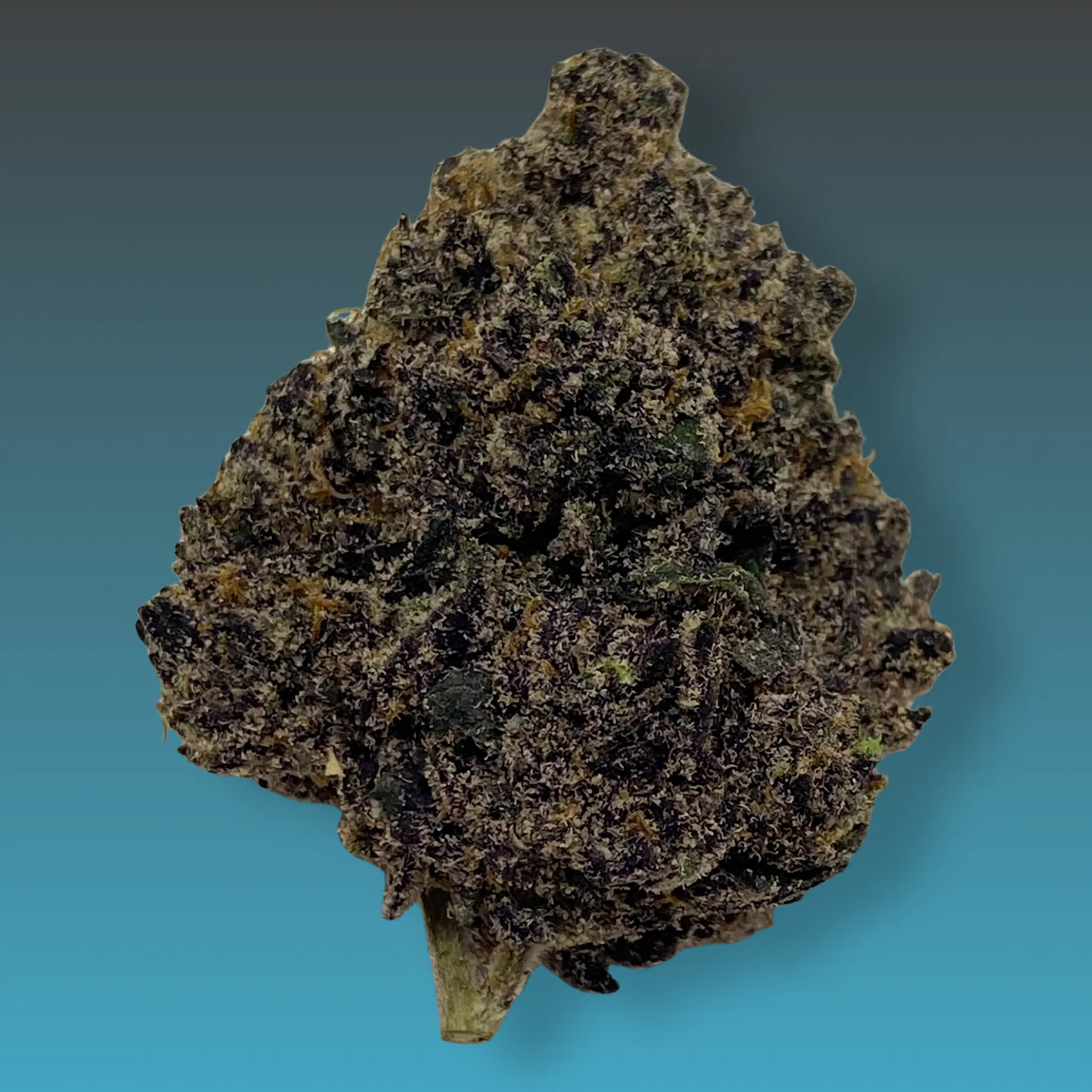 Baked In Bushwick - Legacy Runtz Hybrid Cannabis Flower - Bushwick NYC Weed Delivery