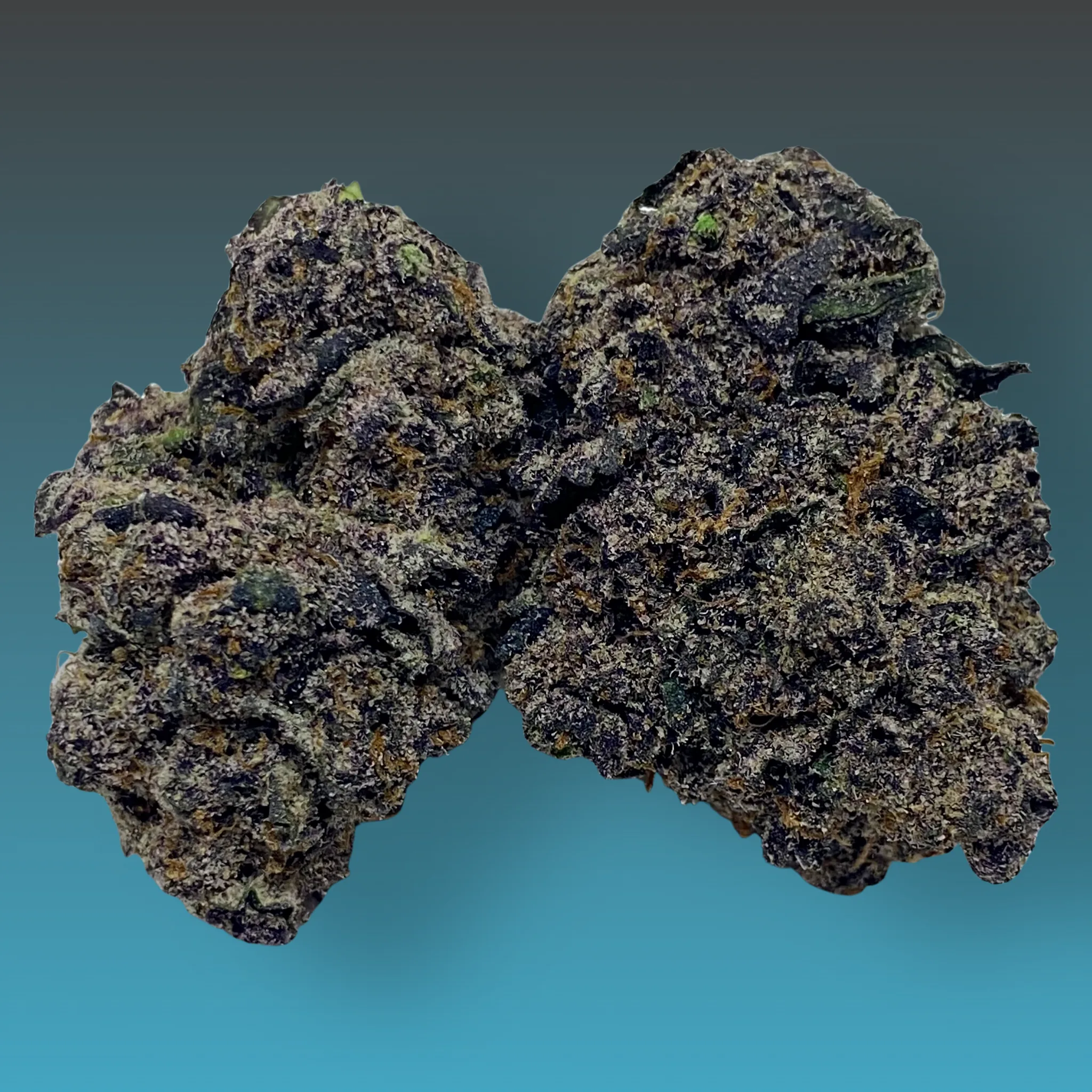 Baked In Bushwick - Legacy Runtz Hybrid Cannabis Flower - Bushwick NYC Weed Delivery