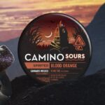 CAMINO SOUR BLOOD ORANGE