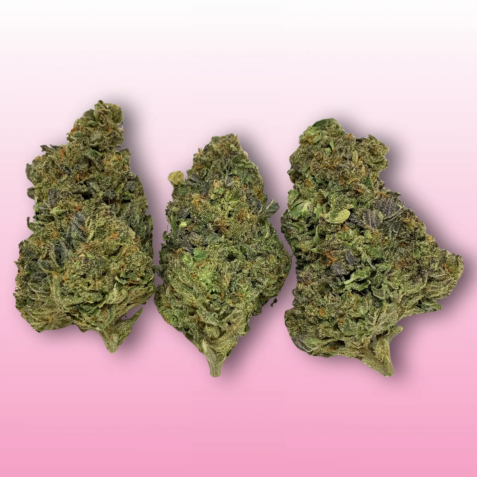 Baked In Bushwick - Candy Land Sativa Hybrid Cannabis Flower - Premium Bushwick Weed Delivery