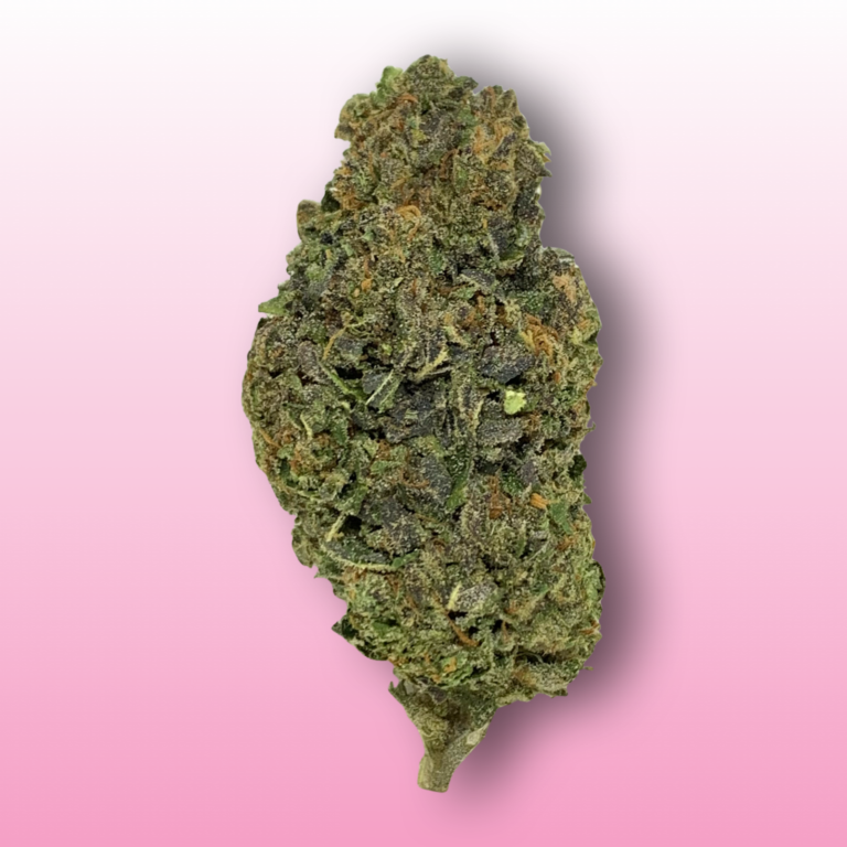Baked In Bushwick - Candy Land Sativa Hybrid Cannabis Flower - Premium Bushwick Weed Delivery