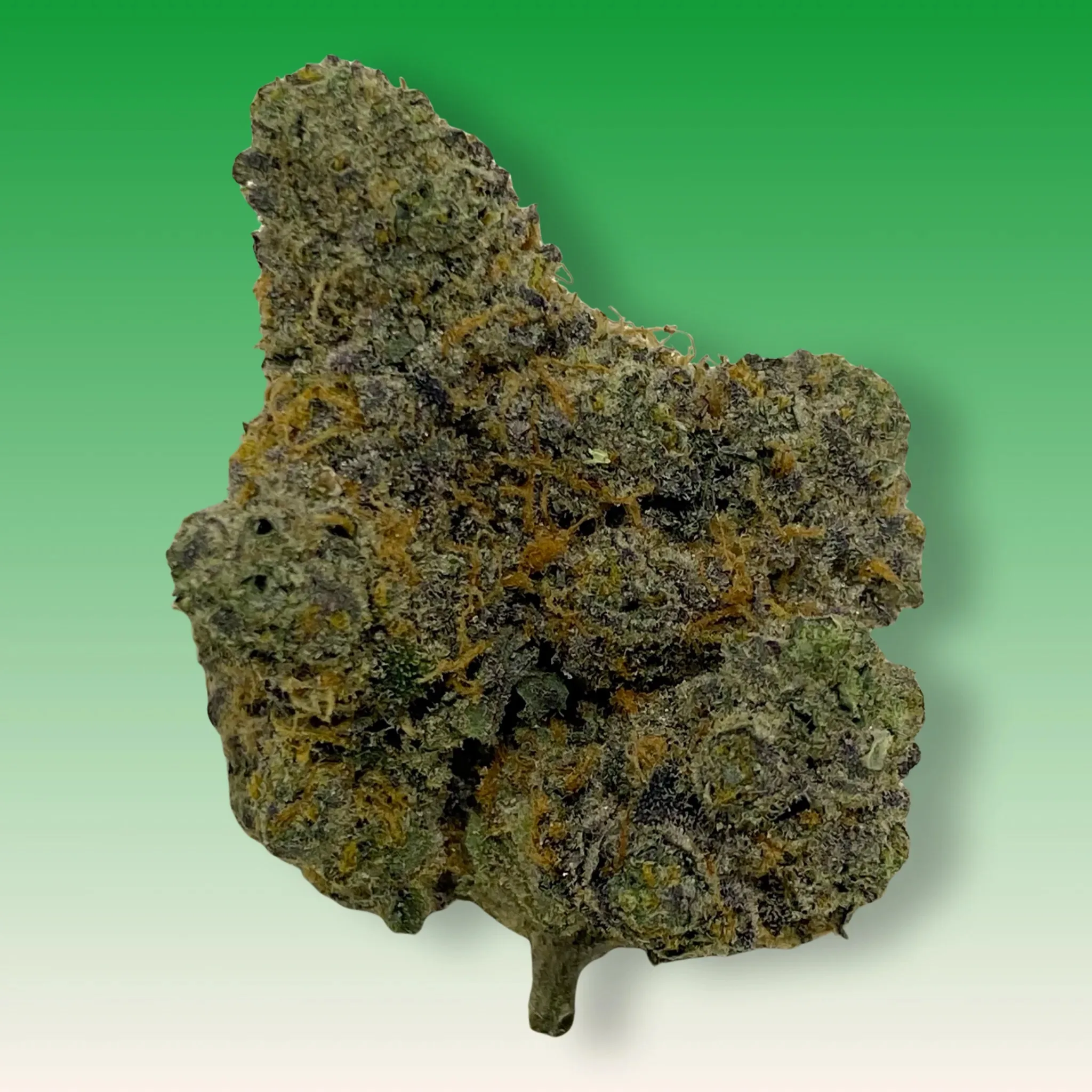 Gary Payton cannabis buds coated in trichomes, known for balanced effects and strong diesel-sweet aroma
