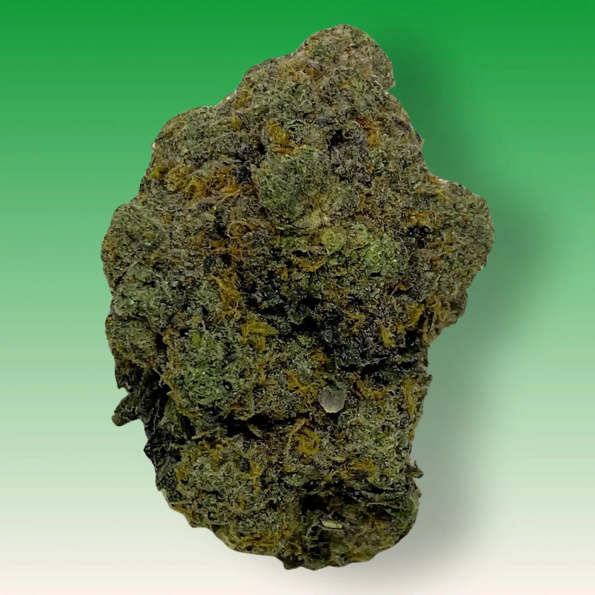 Gary Payton cannabis buds coated in trichomes, known for balanced effects and strong diesel-sweet aroma
