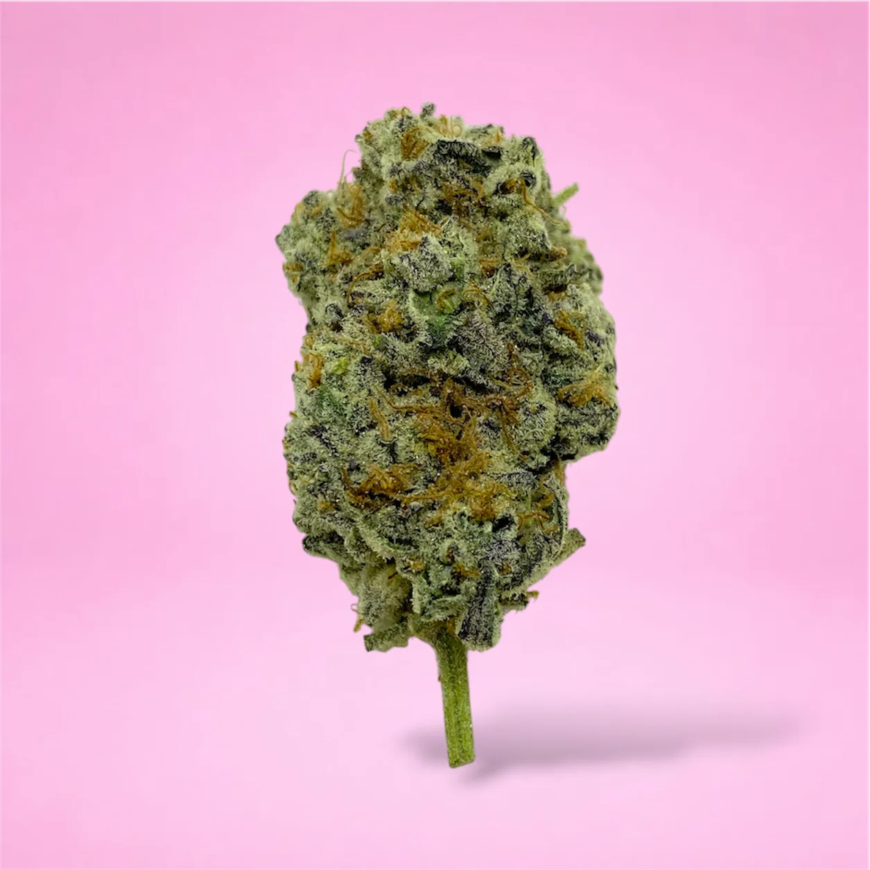 dantes inferno cannabis strain buds with grape cherry and pepper aroma