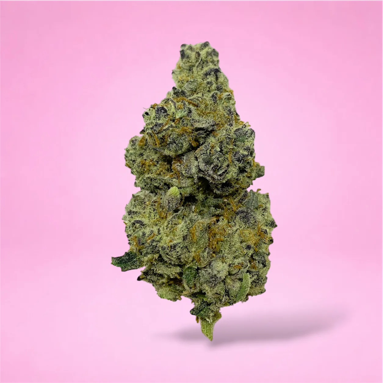 dantes inferno cannabis strain buds with grape cherry and pepper aroma