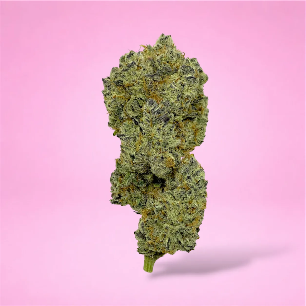 dantes inferno cannabis strain buds with grape cherry and pepper aroma