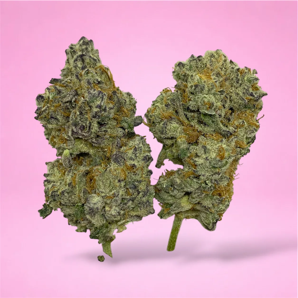 dantes inferno cannabis strain buds with grape cherry and pepper aroma