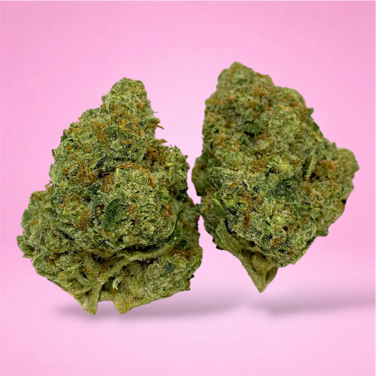 Silver Haze cannabis flower – bright green, frosty buds with a citrusy, earthy aroma, available from Baked In Bushwick.