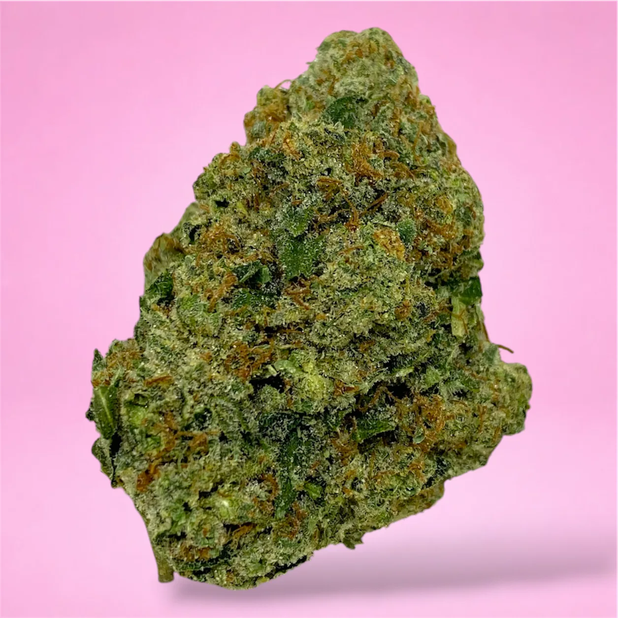 Silver Haze cannabis flower – bright green, frosty buds with a citrusy, earthy aroma, available from Baked In Bushwick.