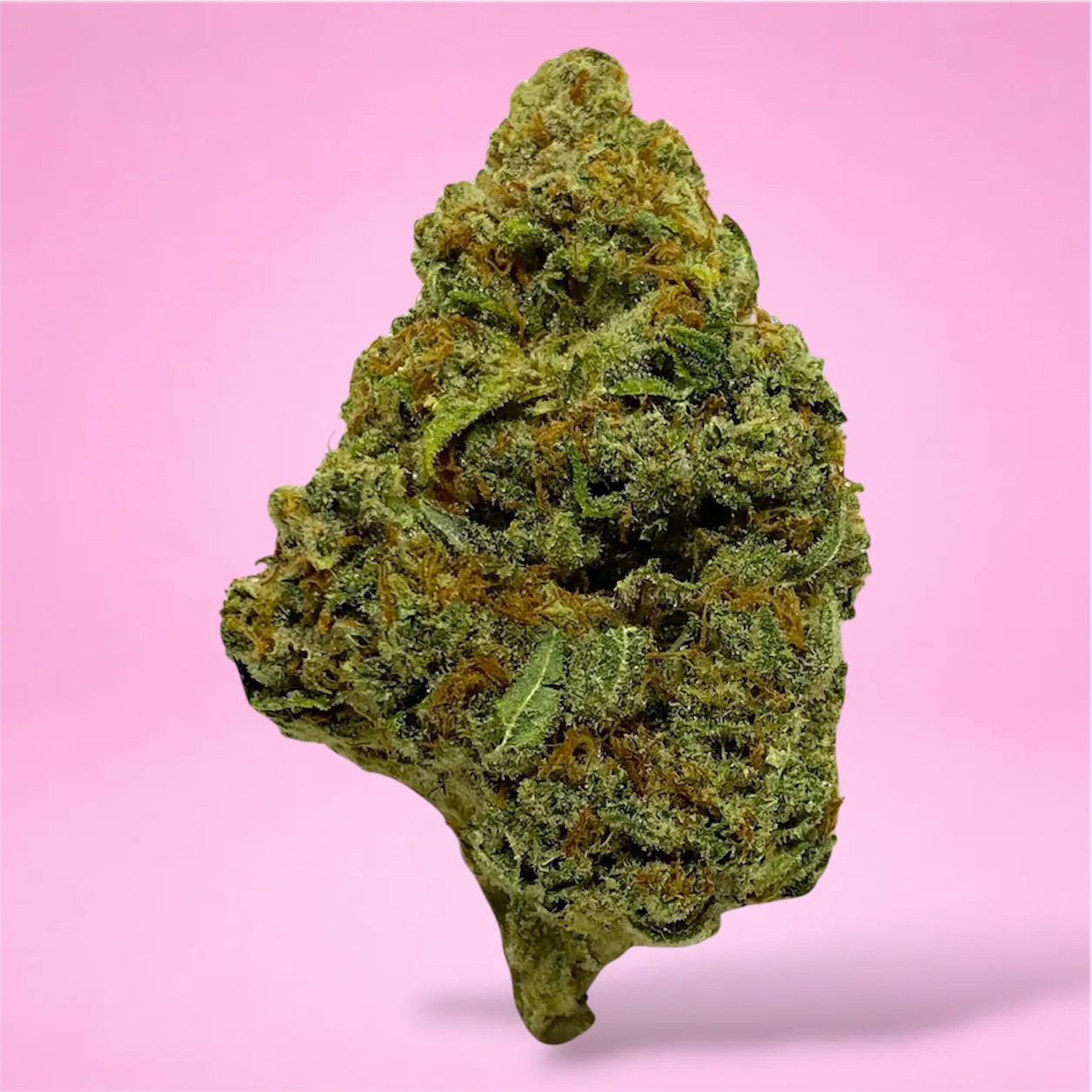Silver Haze cannabis flower – bright green, frosty buds with a citrusy, earthy aroma, available from Baked In Bushwick.