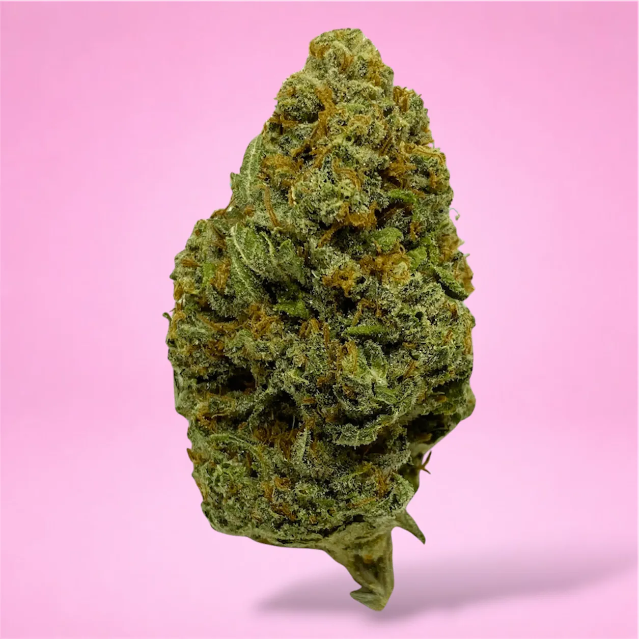 Silver Haze cannabis flower – bright green, frosty buds with a citrusy, earthy aroma, available from Baked In Bushwick.