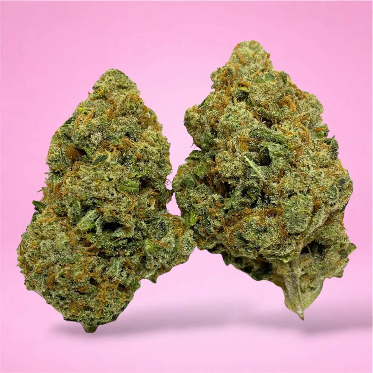 Silver Haze cannabis flower – bright green, frosty buds with a citrusy, earthy aroma, available from Baked In Bushwick.