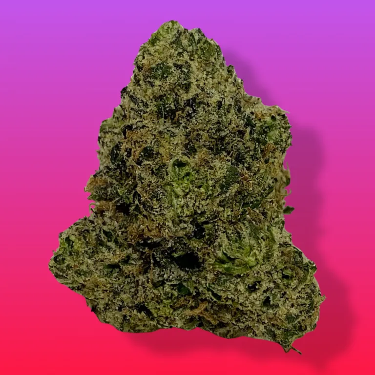 Cherry Haze cannabis buds with vibrant trichomes, known for sweet cherry aroma and energizing sativa effects