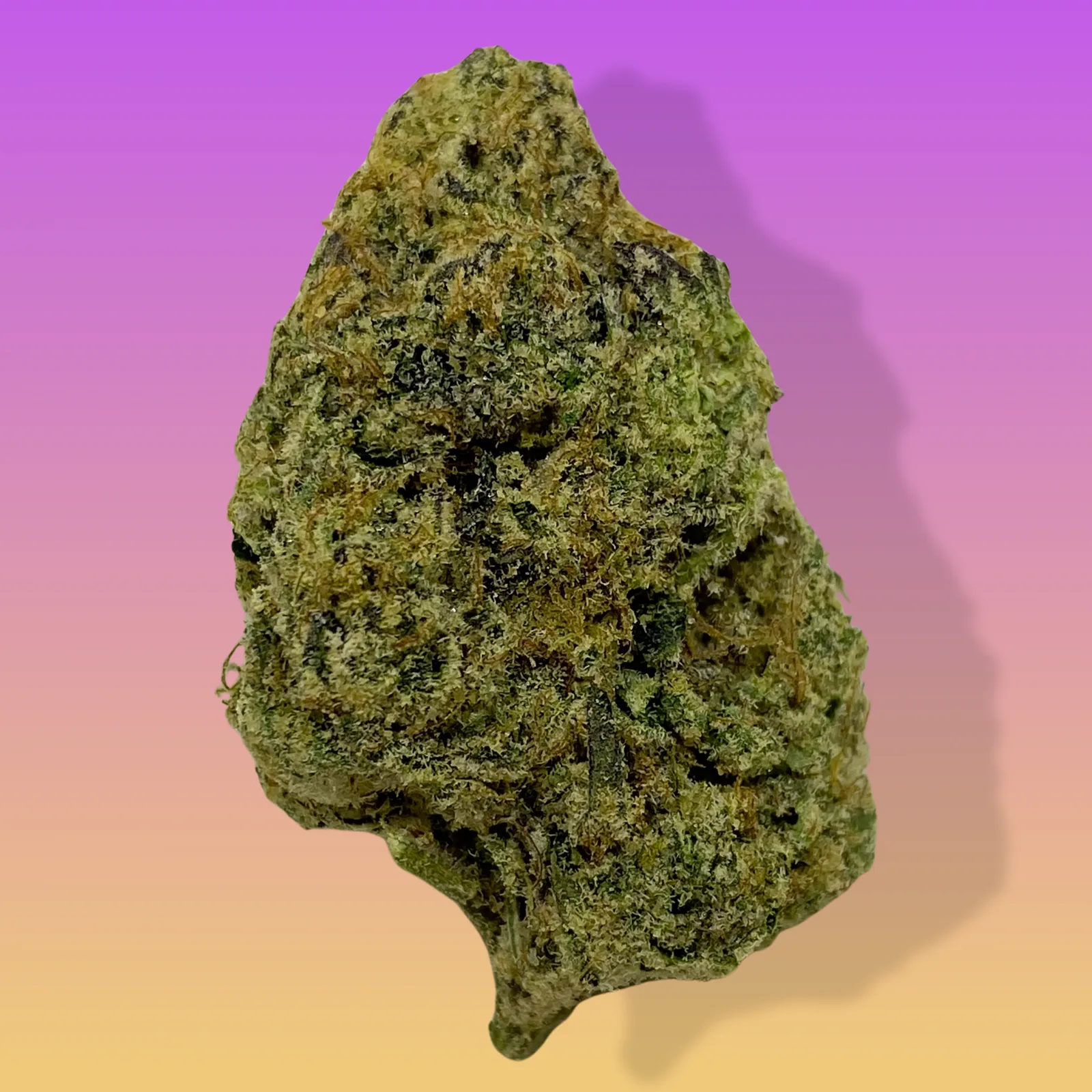 Wedding Cake cannabis strain buds with frosty trichomes, known for sweet vanilla-cherry aroma and deeply relaxing effects
