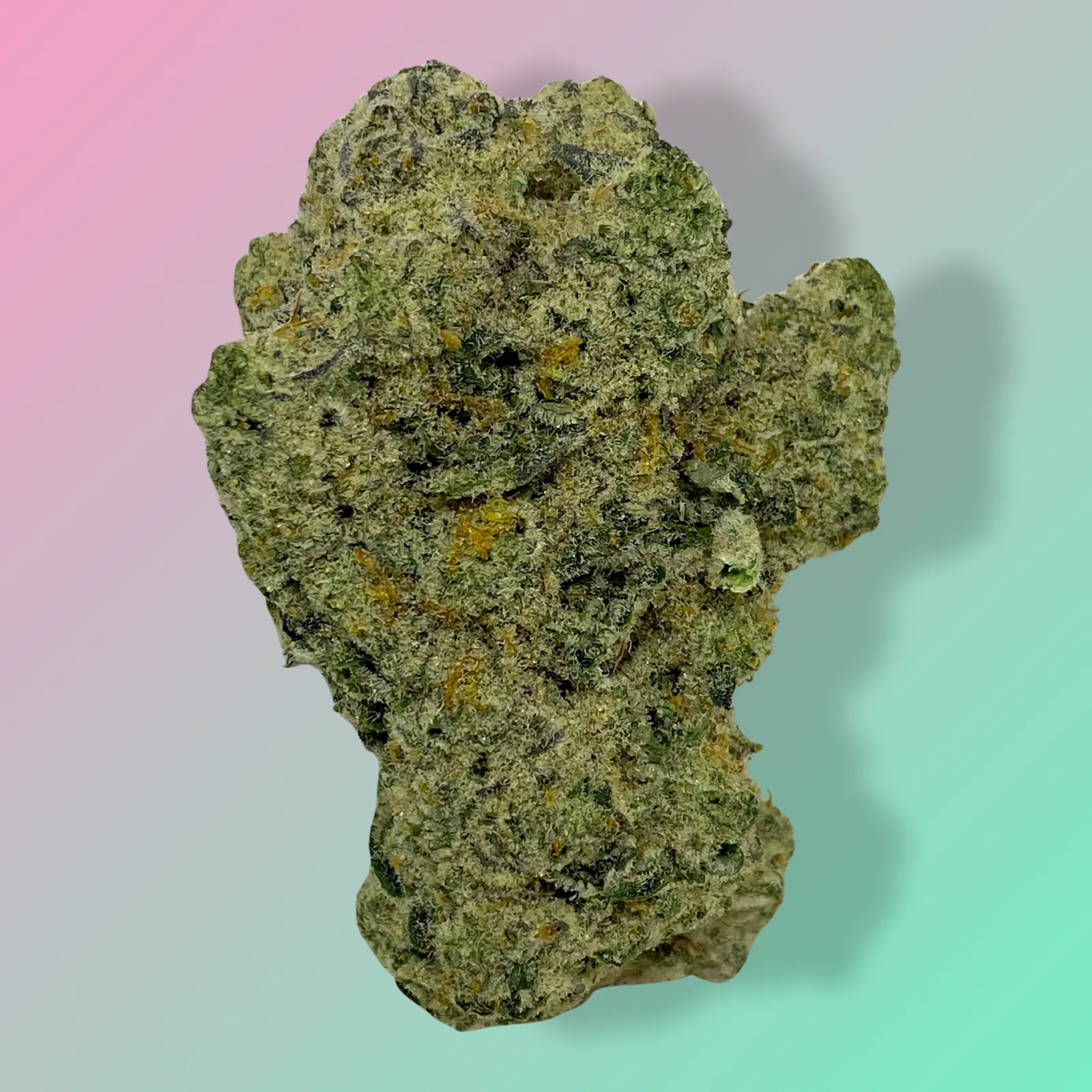 Baked in Bushwick Cap Junky Strain – 33-34% THC, hybrid strain with frosty buds and a sweet, fruity aroma.