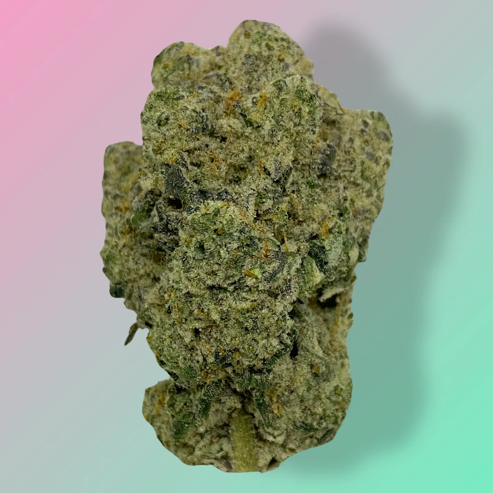 Baked in Bushwick Cap Junky Strain – 33-34% THC, hybrid strain with frosty buds and a sweet, fruity aroma.