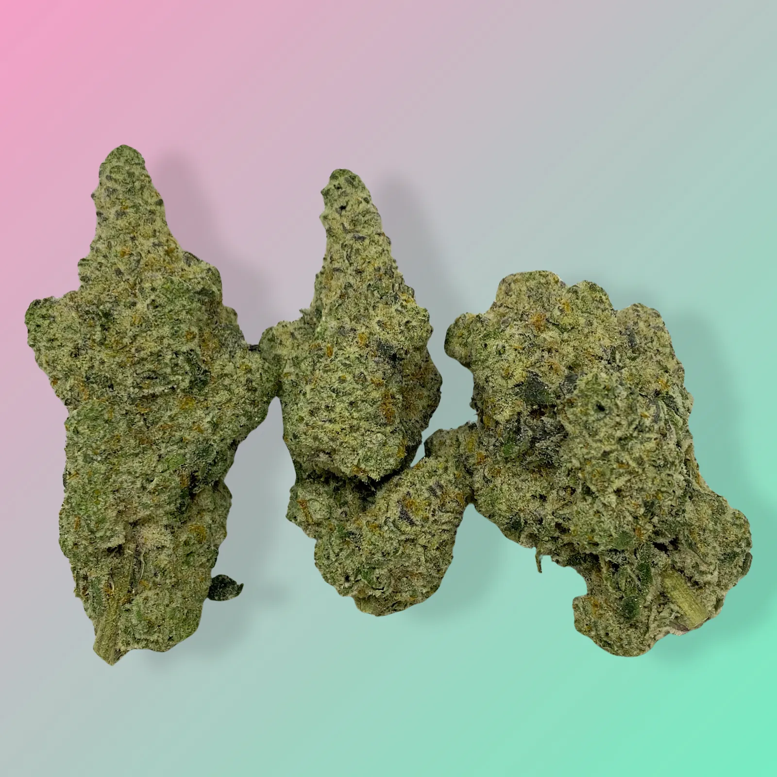 Baked in Bushwick Cap Junky Strain – 33-34% THC, hybrid strain with frosty buds and a sweet, fruity aroma.