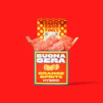 MAMMA MIA - ORANGE SPRITZ