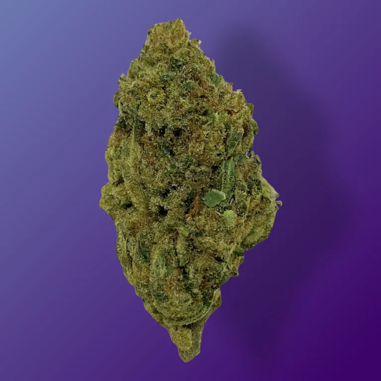 Grape Jelly – Hybrid cannabis with relaxing effects, sweet fruity flavor, and colorful, resin-coated buds.