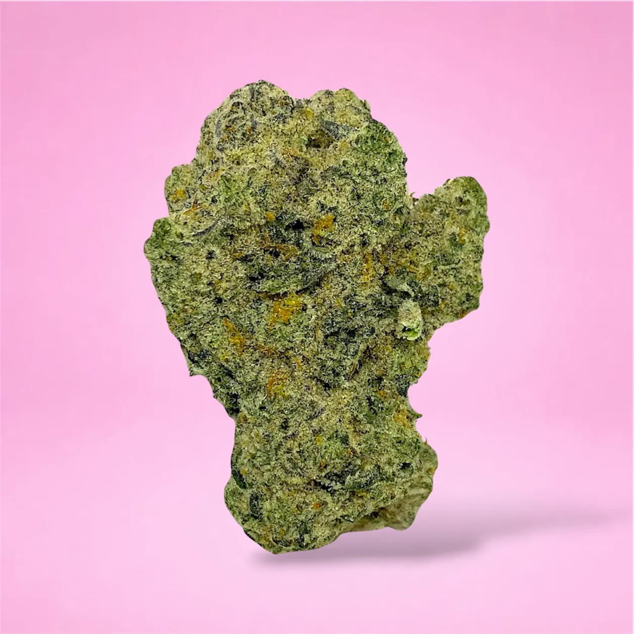 Baked in Bushwick Cap Junky Strain – 33-34% THC, hybrid strain with frosty buds and a sweet, fruity aroma.
