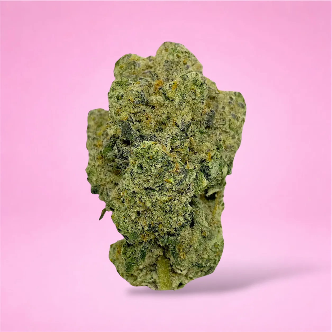 Baked in Bushwick Cap Junky Strain – 33-34% THC, hybrid strain with frosty buds and a sweet, fruity aroma.