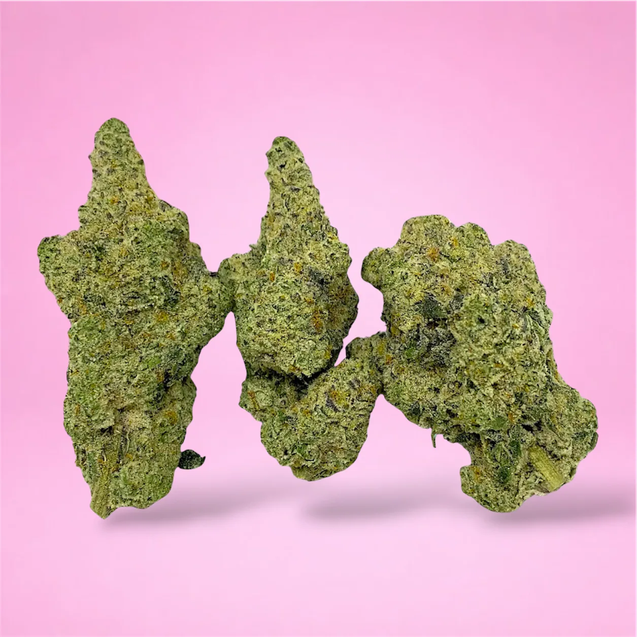 Baked in Bushwick Cap Junky Strain – 33-34% THC, hybrid strain with frosty buds and a sweet, fruity aroma.