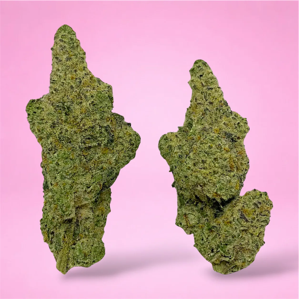 Baked in Bushwick Cap Junky Strain – 33-34% THC, hybrid strain with frosty buds and a sweet, fruity aroma.
