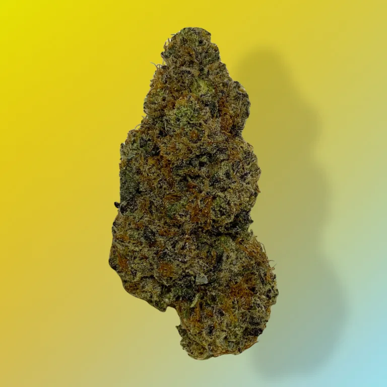 Cadillac Rainbow cannabis buds – dark olive green with purple undertones and frosty trichomes.