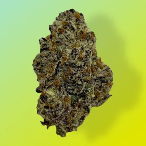 GARLIC COOKIES