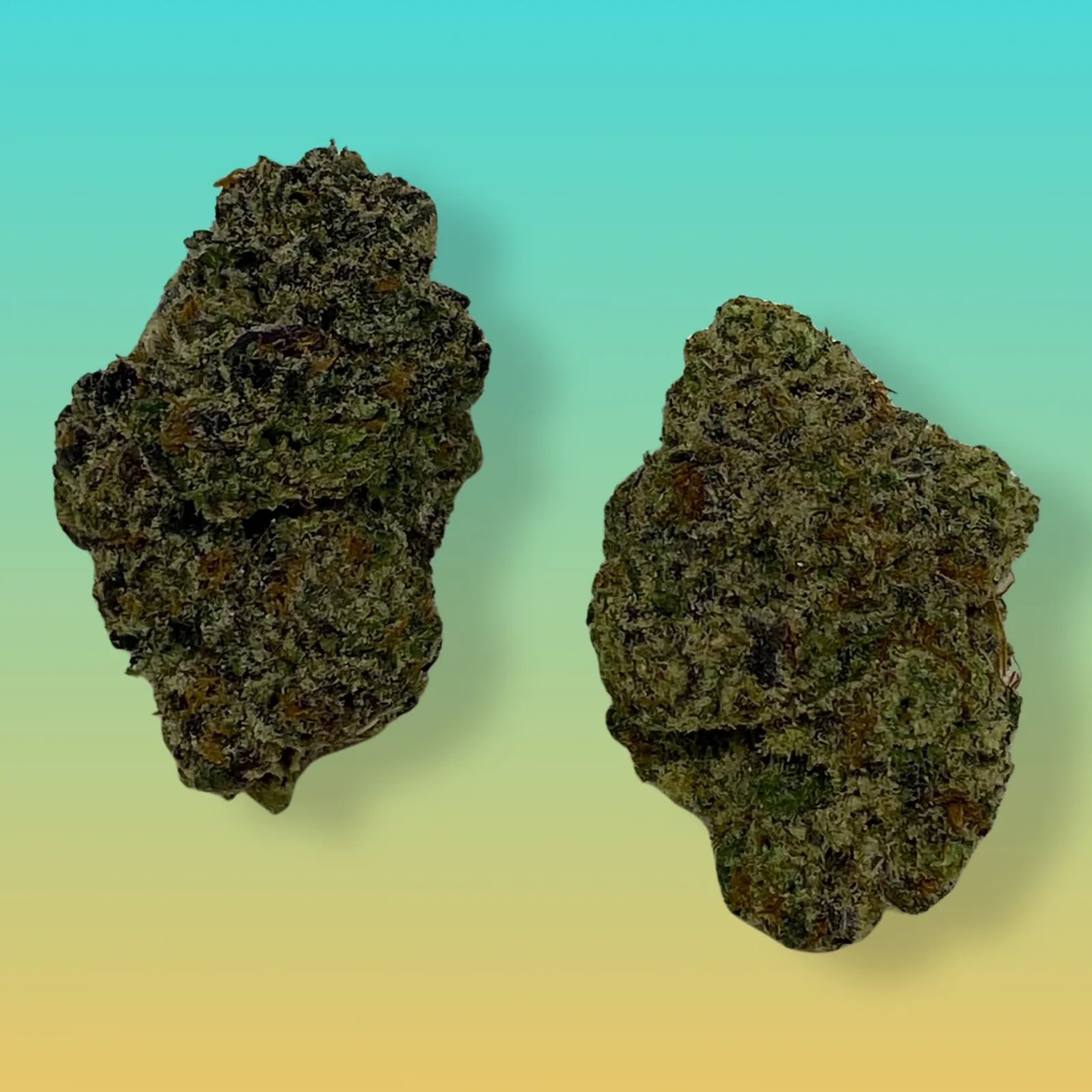 London Poundcake cannabis buds – Indica-dominant hybrid with sweet berry and grape flavor, and frosty amber trichomes.