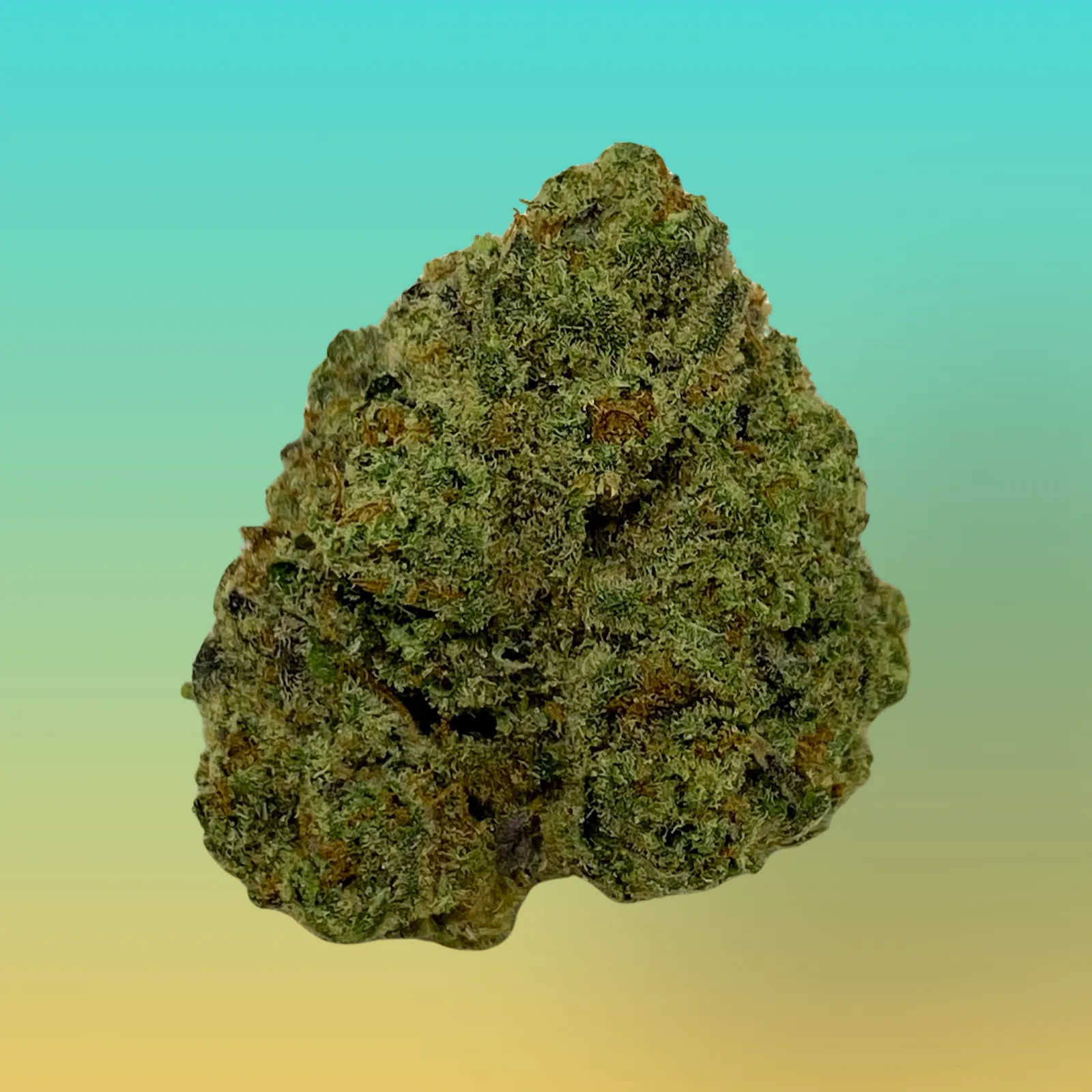 London Poundcake cannabis buds – Indica-dominant hybrid with sweet berry and grape flavor, and frosty amber trichomes.
