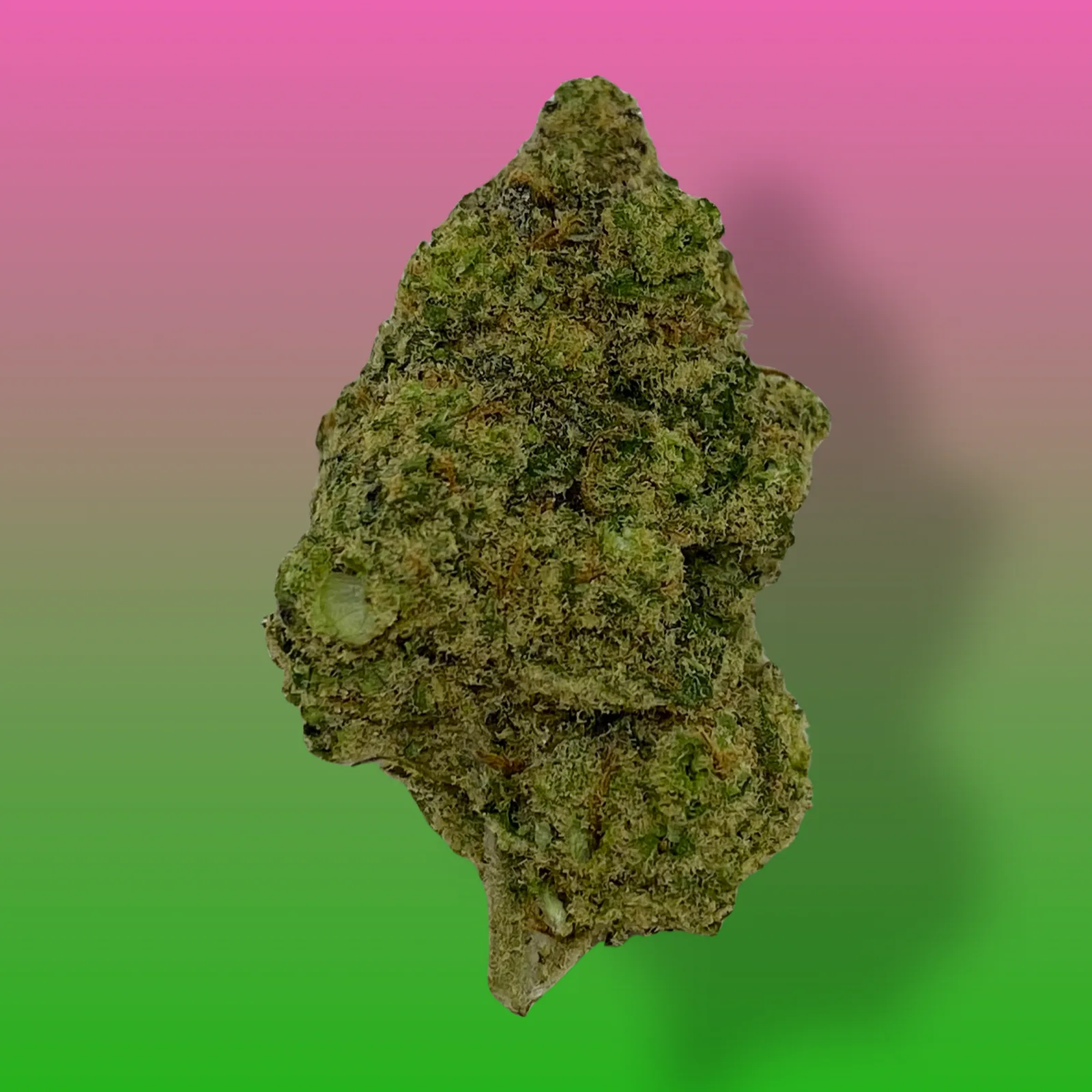 Green Apple Gas cannabis buds – Balanced hybrid with green apple flavor and gassy aroma.