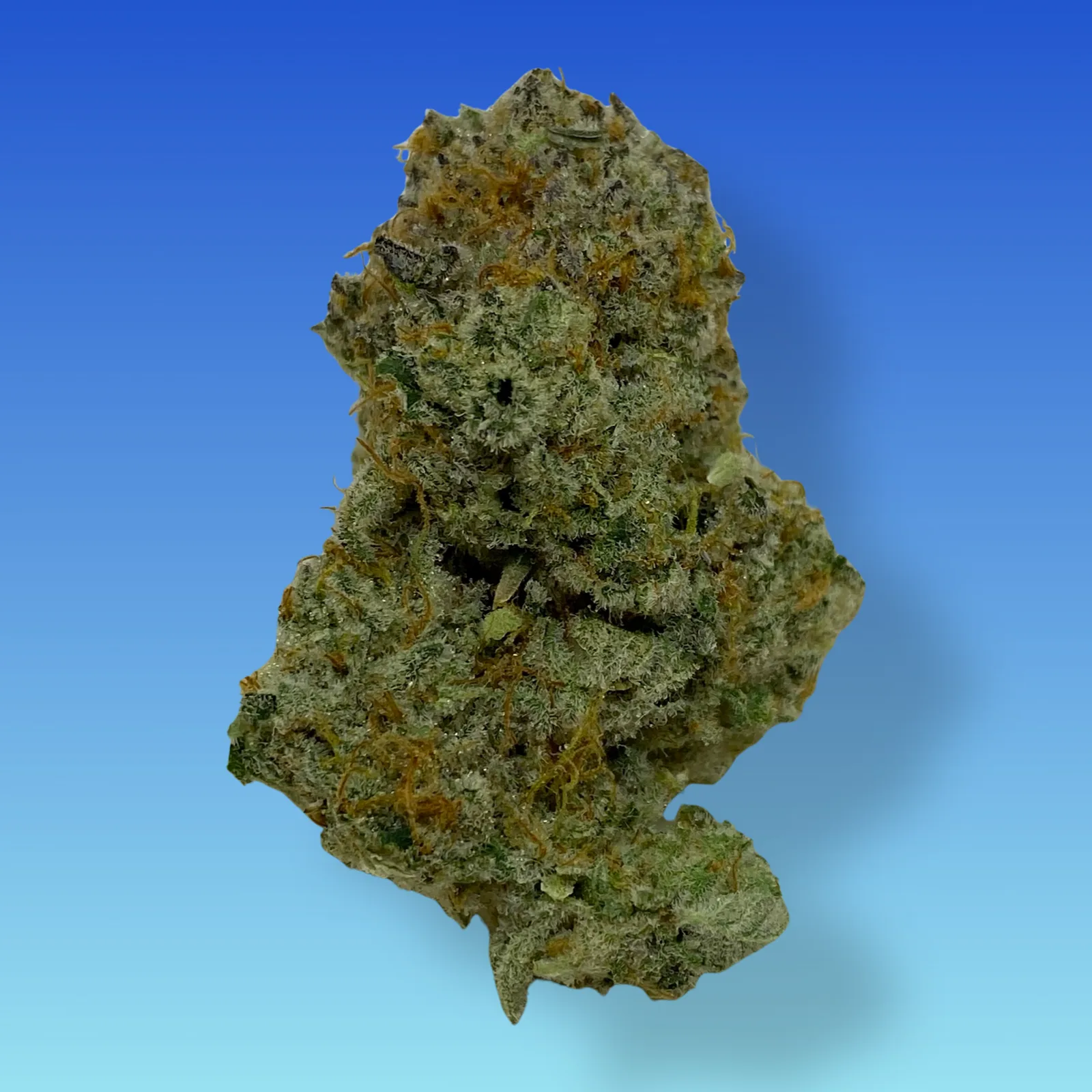 Snowcap cannabis buds with frosty trichomes and a mix of citrus and pine aromas, known for its uplifting effects.