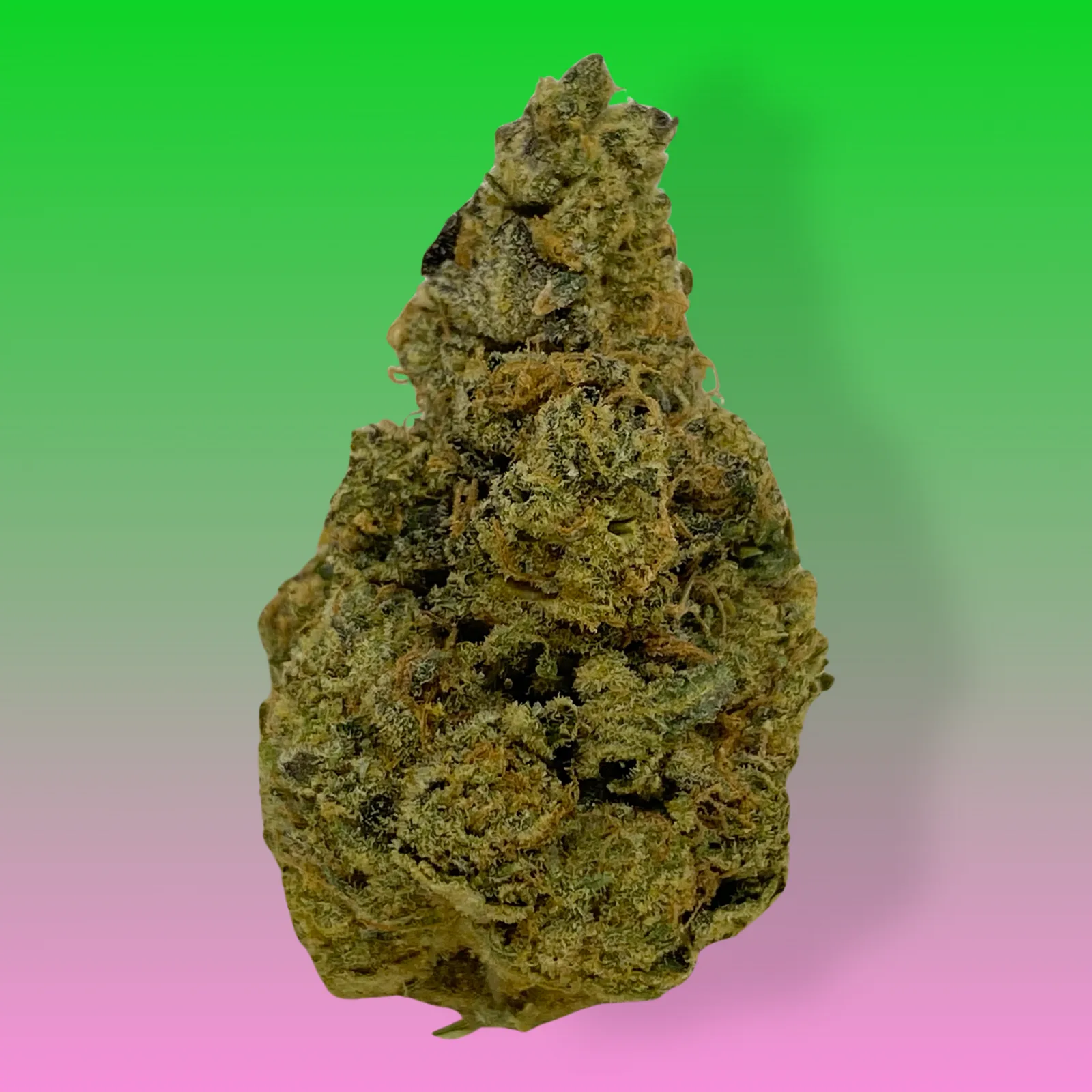 Close-up of OG Chem cannabis strain buds with frosty trichomes and orange hairs, hybrid marijuana