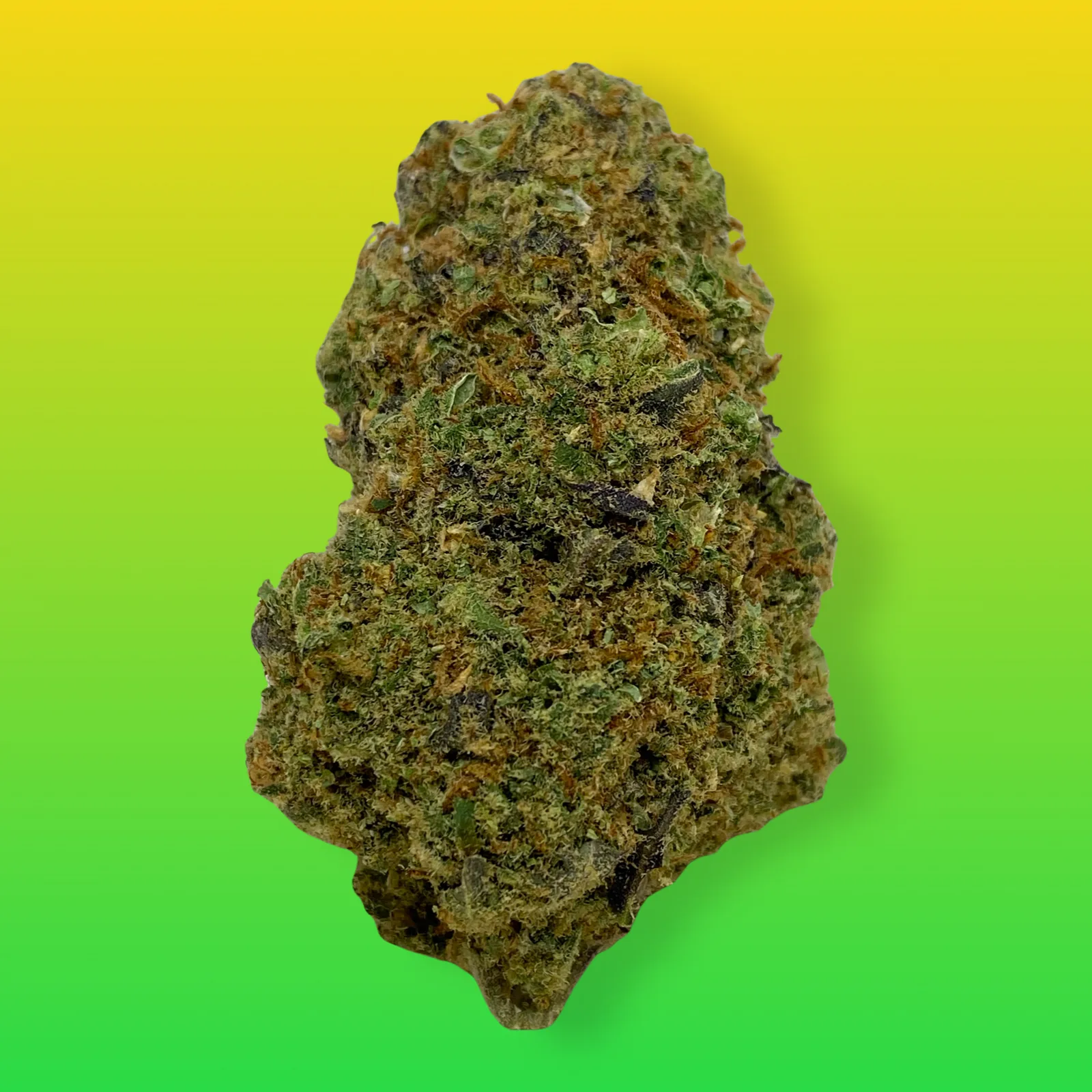 Close-up of Franco’s Lemon Cheese cannabis buds with vibrant green hues, orange hairs, and frosty trichomes
