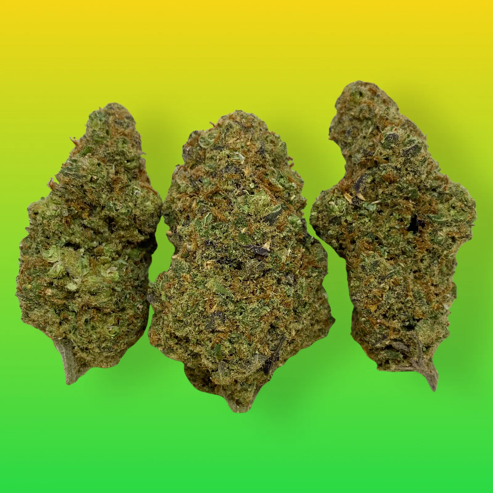 Close-up of Franco’s Lemon Cheese cannabis buds with vibrant green hues, orange hairs, and frosty trichomes