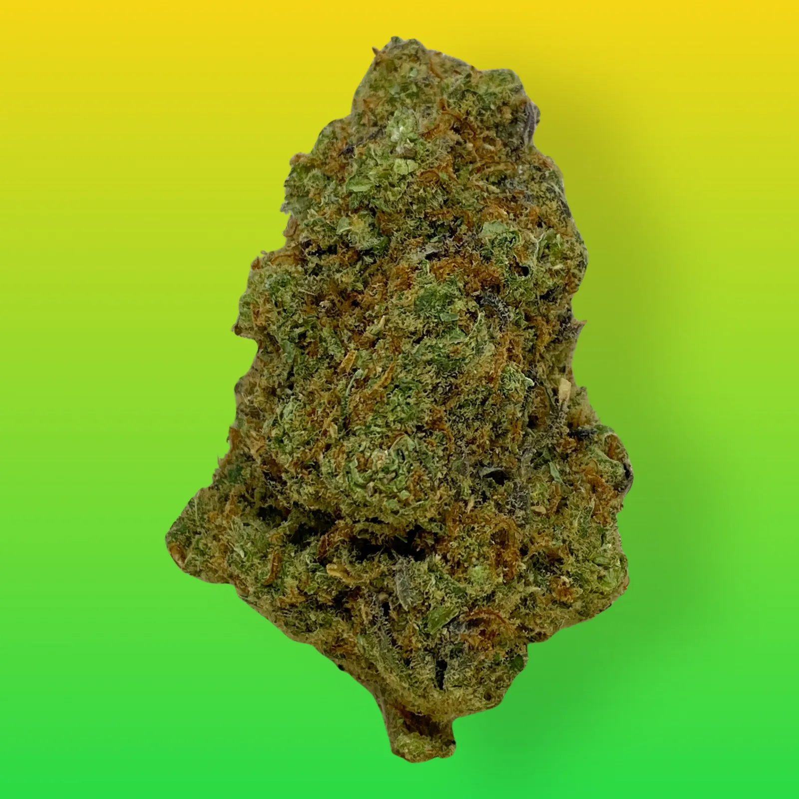 Close-up of Franco’s Lemon Cheese cannabis buds with vibrant green hues, orange hairs, and frosty trichomes