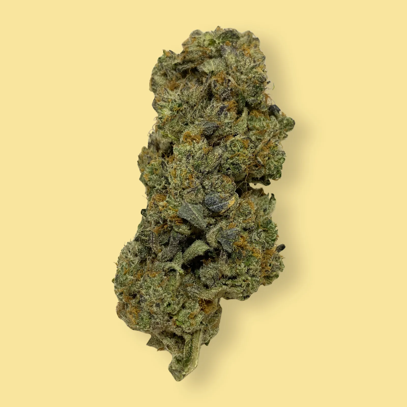 Deep Fried Ice Cream strain buds with frosty trichomes and creamy purple-green hues, photographed close-up