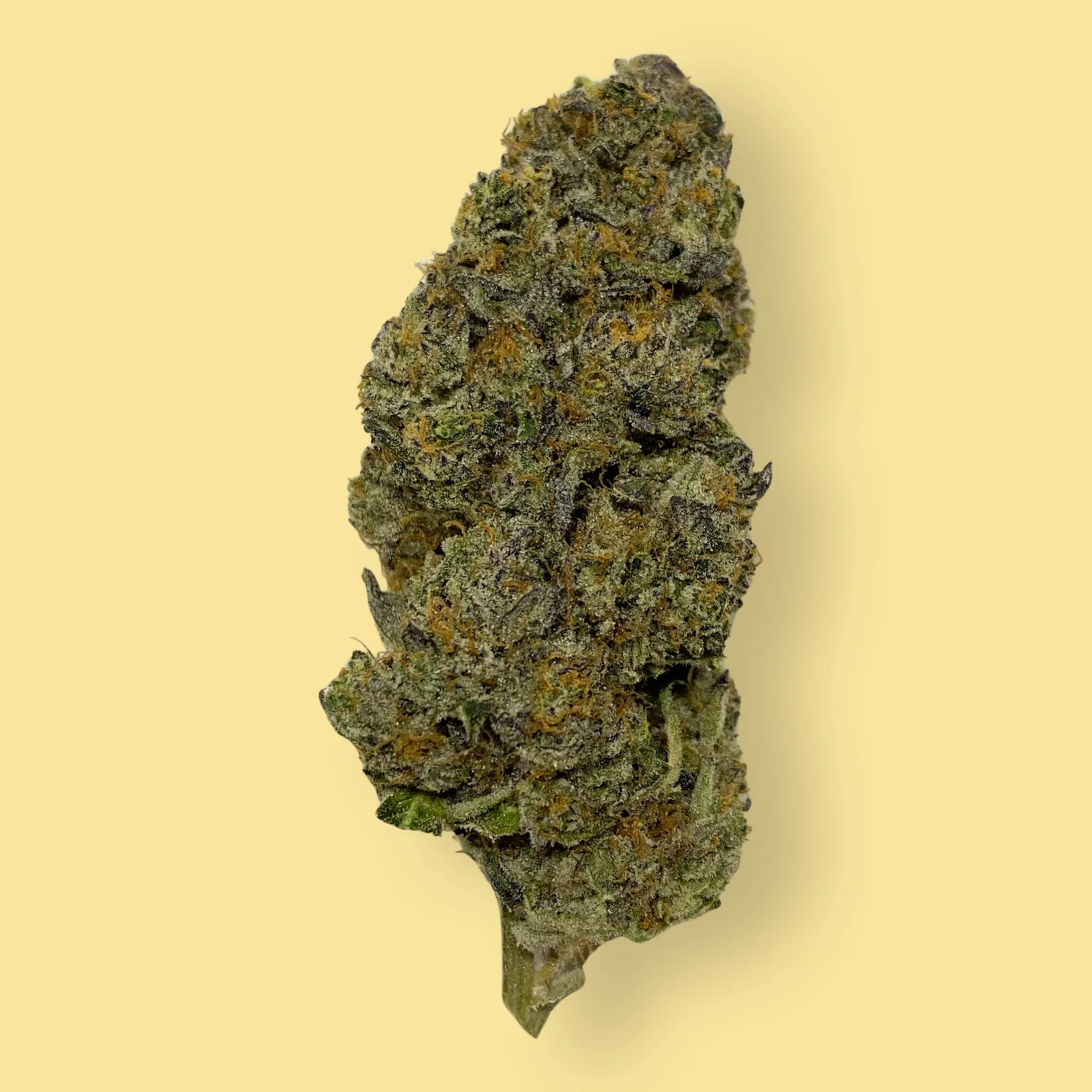 Deep Fried Ice Cream strain buds with frosty trichomes and creamy purple-green hues, photographed close-up